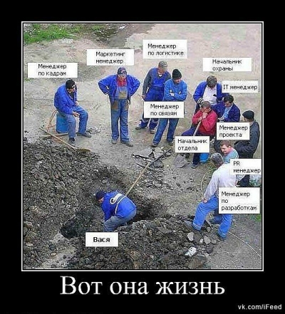 10090.jpg