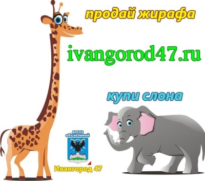 10679.jpg