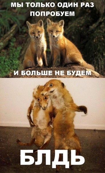 Нет наркотикам