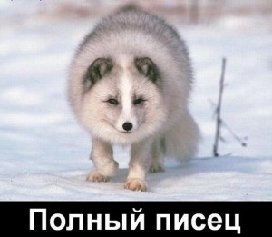 полный писец