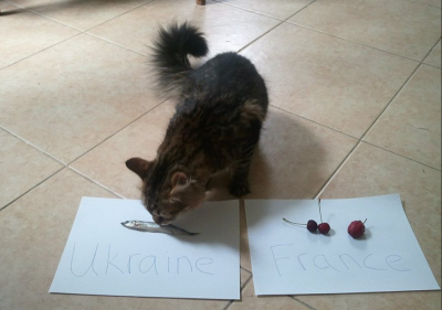 snimok.PNG