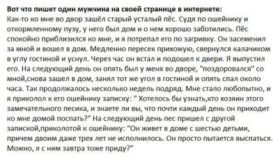 песик