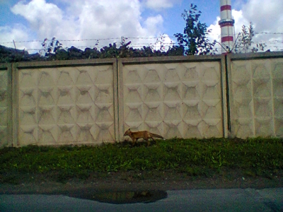 foto0134.jpg