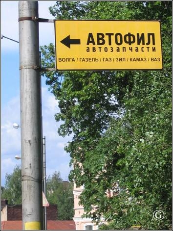 2464.jpg