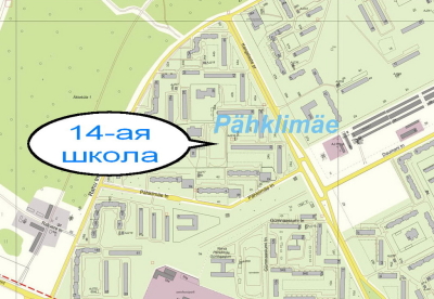 2710.jpg