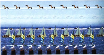 2837.jpg