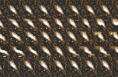 2838.jpg