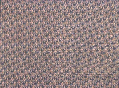 2839.jpg