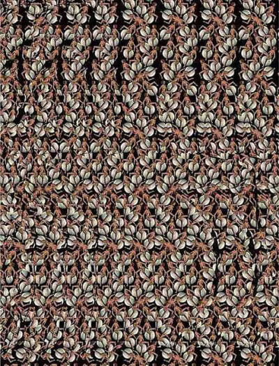2844.jpg