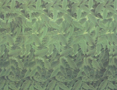 2845.jpg
