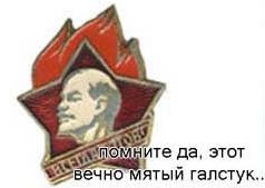 2945.jpg