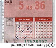 2949.jpg