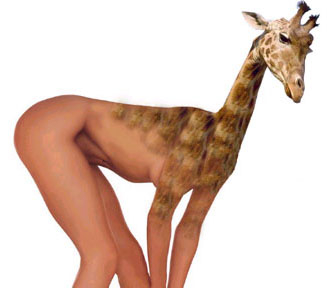 34.jpg
