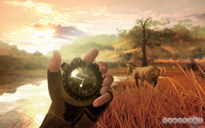 4286.jpg