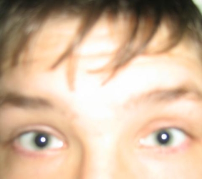 454.jpg