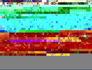 567.jpg