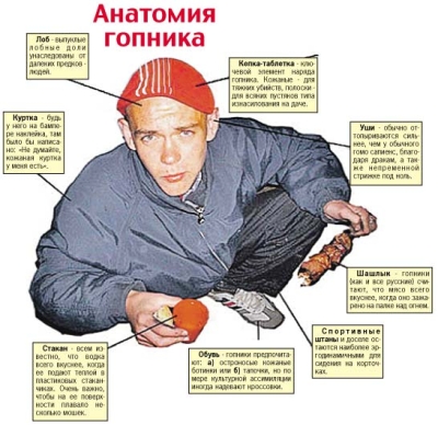 7190.jpg