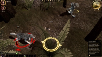 7964.jpg