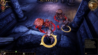 7967.jpg