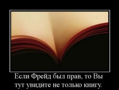 8401.jpg