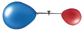 8590.jpg