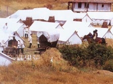 88.jpg