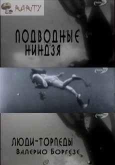 897.jpg