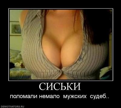 9307.jpg