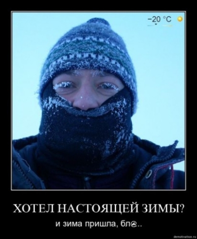 9454.jpg