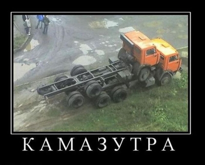 9477.jpg
