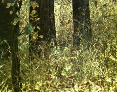 9572.jpg