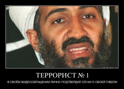 9931.jpg